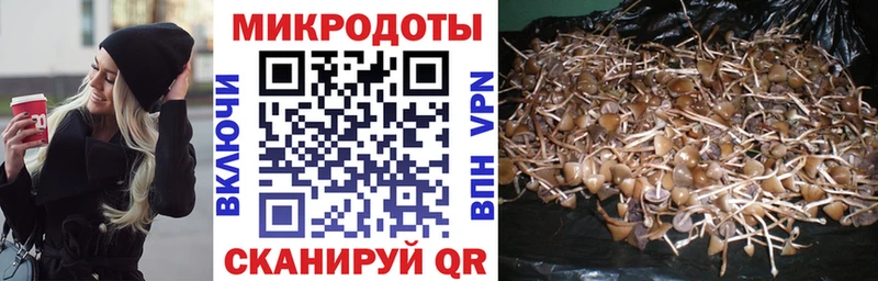 Галлюциногенные грибы мухоморы  blacksprut ONION  Дорогобуж 